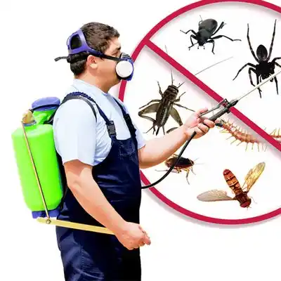 pest control North Babylon